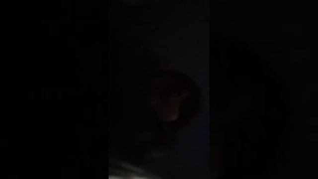 Идём со школы смотреть онлайн
