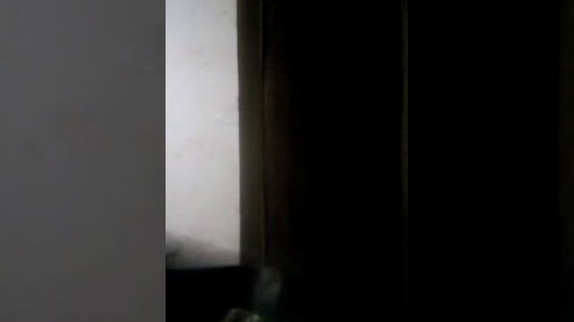 Лёха и Ксюха смотреть онлайн