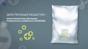 Водорастворимый пробиотик для профилактики заболеваний ЖКТ свиней. Бактосель