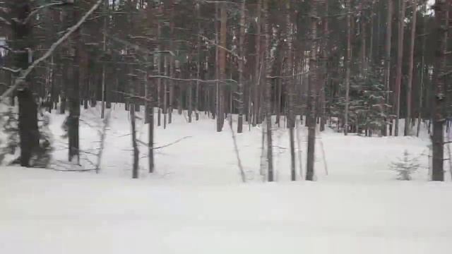 6 апреля 2021 г. смотреть онлайн