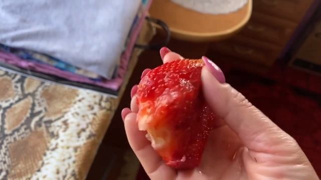 Клубника потихоньку созревает👍Так и живём😁Работы хватает😉😊 смотреть онлайн