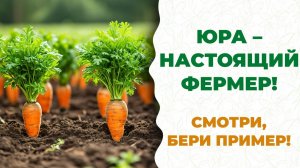 Новый проект! Морковь +835% пользы по витаминам, минералам и БАВ.
