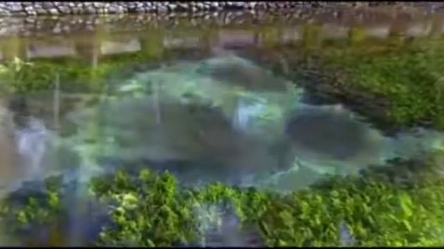 Рейки тихая с природой