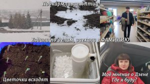 #111 ВЛОГ. Подкармливаем птиц! Заехали в ФАМИЛИЮ. Цветочки всходят. Моё мнение о Дзене..ГДЕ Я БУДУ?
