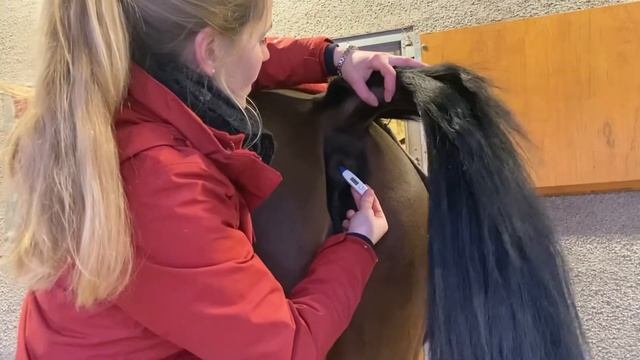 How to Take a Horse’s Temperature смотреть онлайн