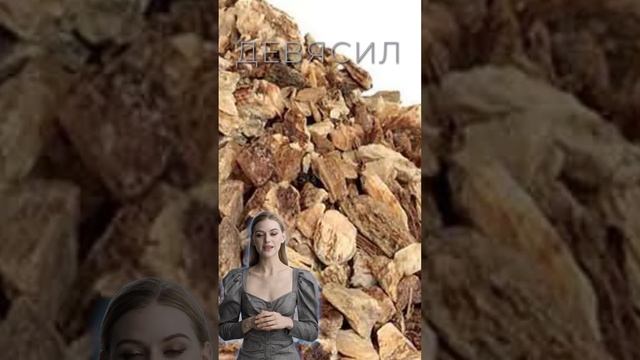 ДЕВЯСИЛ / Польза и Вред смотреть онлайн