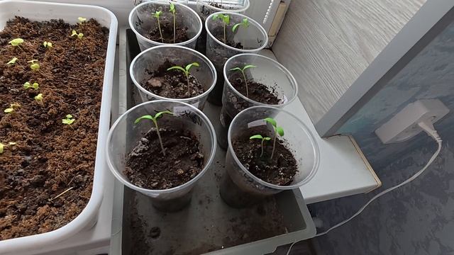 Наработал, пока меня дома не было смотреть онлайн