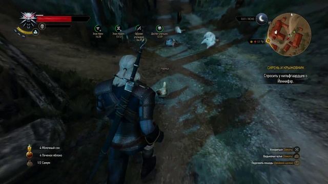 Прохождение Ведьмак 3: Дикая Охота (The Witcher 3: Wild Hunt) — Часть 10: Лихо у колодца (PS4) смотреть онлайн