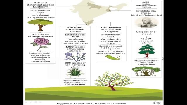 CBSE Class 11 Biology | Unit-1 | Chapter-1 | The Living World | Part 2 смотреть онлайн