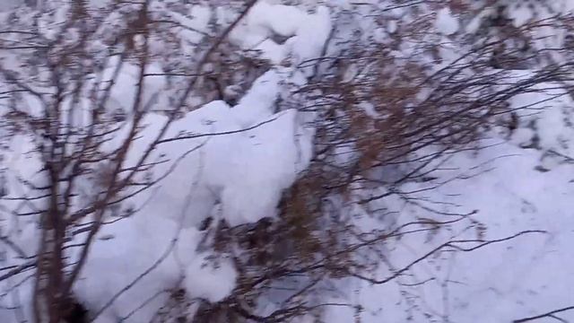 4 декабря 2023 г.