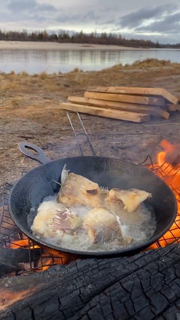 Жарим рыбу на костре🎣 смотреть онлайн