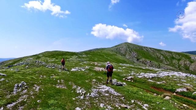 VRANICA 24.06,2017 смотреть онлайн