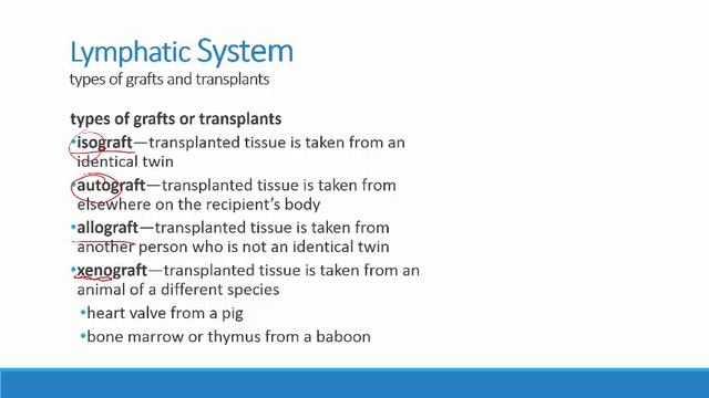 .ppt Chapter 16.6: Lymphatic System-allergic rxn, transplants, rejections, autoimmunity, and thymus смотреть онлайн