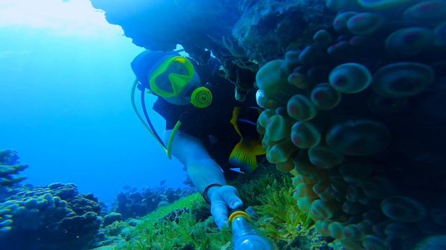 SDT SR @ Aqaba, Jordan - Day01 смотреть онлайн