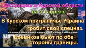 Последние новости об обстановке и боях в Курской области на 14 апреля 2025 г