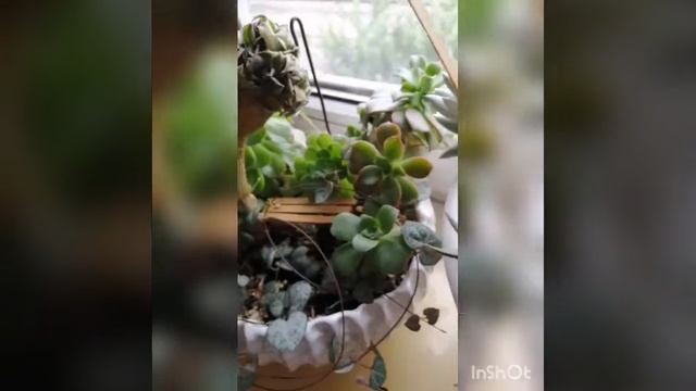 Моя грядка #2, но не по значимости. Я её люблю не меньше первой смотреть онлайн