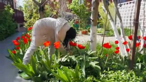 ПРИЧИНА почему Марк так разговаривает / Срезаем тюльпаны / Что же ты наделал МИКИ / Жизнь / Влог