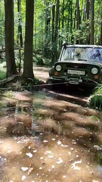 ПРИЕХАЛИ??? БЕЗ ЛЕБЕДКИ НИКУДА НА УАЗЕ В БОЛОТЕ, ДЕРЕВЬЯ #дерево #лебедка #болото #сложно #приехал смотреть онлайн