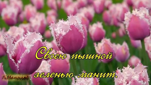 Весна смотреть онлайн