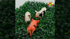 T50554 Ферма 14см 6