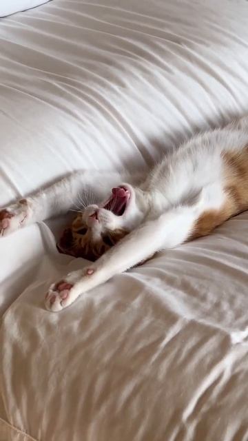 С понедельником... смотреть онлайн