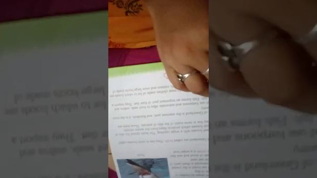 Class5 ch6 Greenland The land of ice and snow part Transport and lifestyle смотреть онлайн