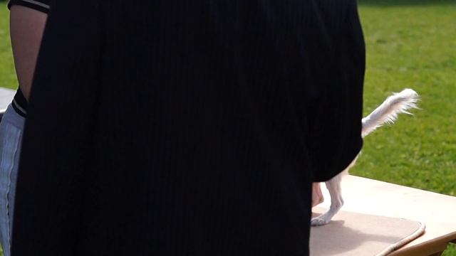 Фаррел,первая выставка))