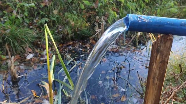 абиссинский колодец смотреть онлайн