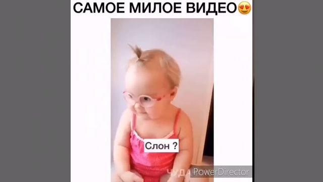 Топ видео с инстаграм. Подборка смешных видео с инстаграм смотреть онлайн