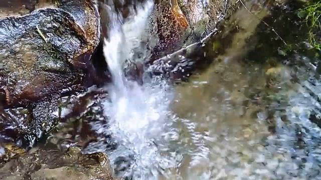 музыка родника смотреть онлайн