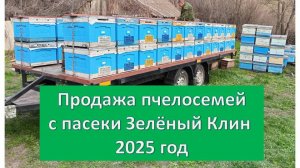 Продажа пчелосемей с пасеки Зелёный Клин 2025 год