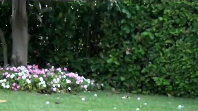 Cannes het hagelen смотреть онлайн
