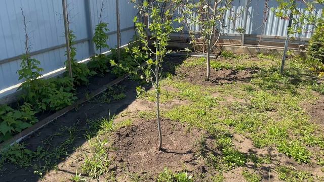 Я ВЕРНУЛСЯ! смотреть онлайн