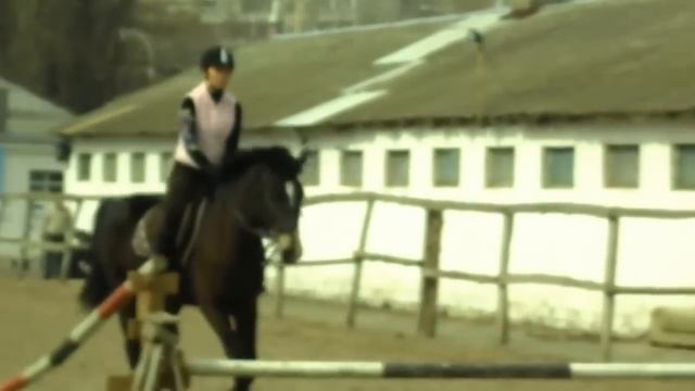 SAM_0490.avi смотреть онлайн