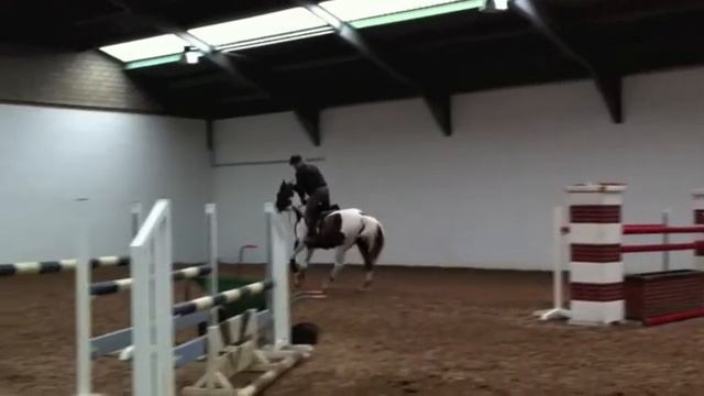 Tinkerbell, 2001, Mare by Tornado x Landwind смотреть онлайн