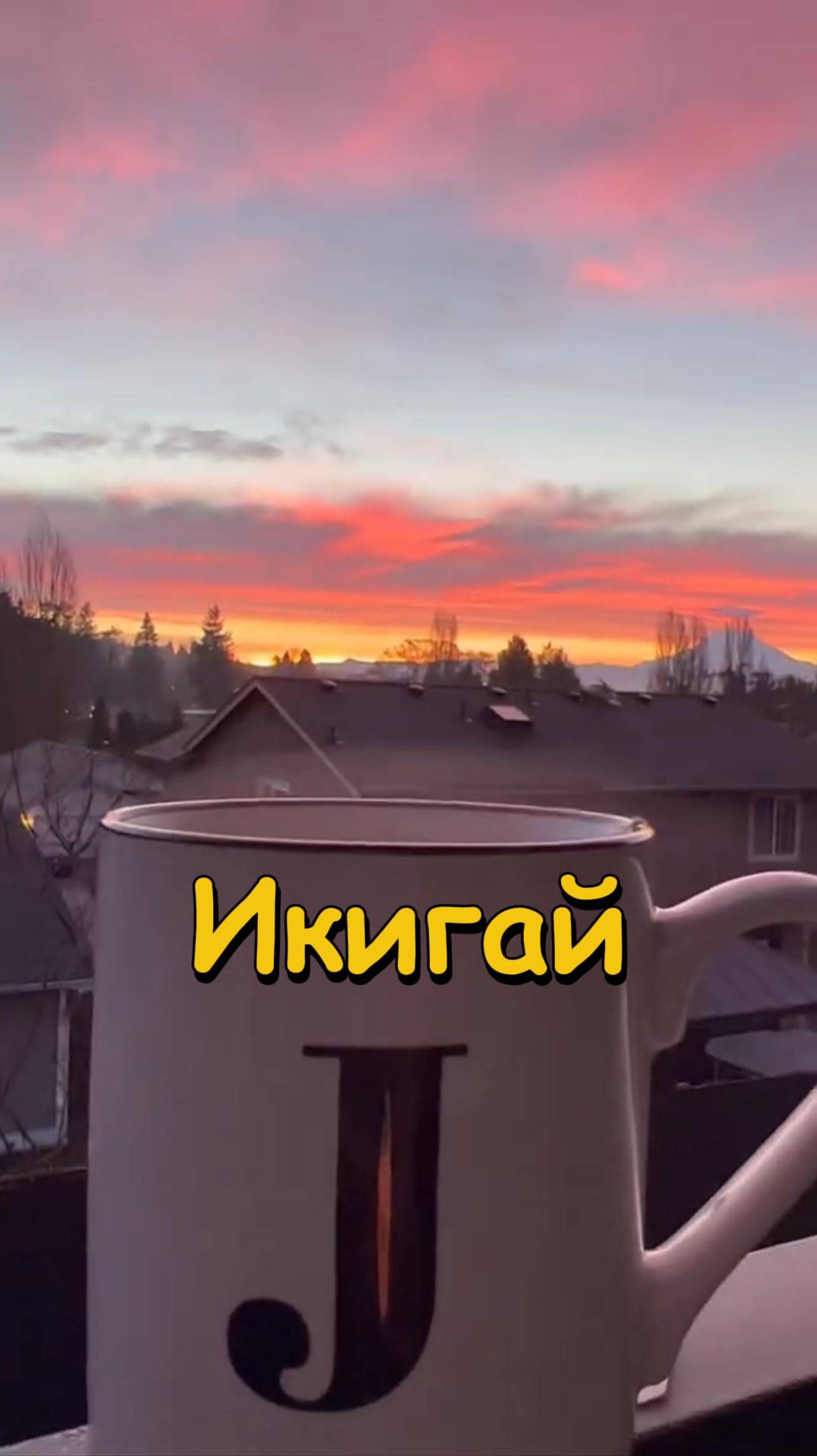 🔥 ИКИГАЙ: Как найти смысл в мелочах? Секрет долгожителей Окинавы