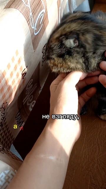 Эдуард Асадов смотреть онлайн