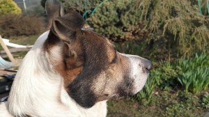 14-04-2025 День тишины.