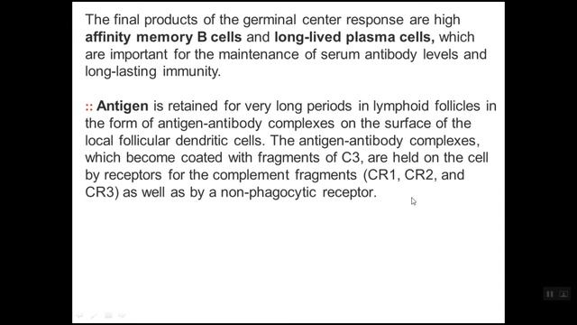BSA IMMUNI16TCACTIVATION смотреть онлайн