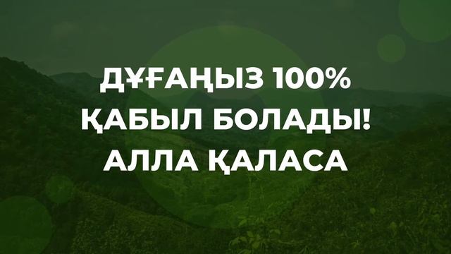 Дұғаңыз 100% қабыл болады осы дұғадан кейін Алла қаласа [Ардақ Байғабыл] смотреть онлайн