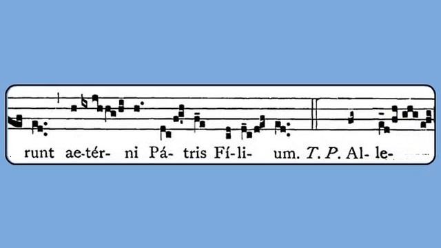 Beata Viscera (Feasts of the BVM, Communion) смотреть онлайн