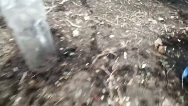 садим огурцы смотреть онлайн