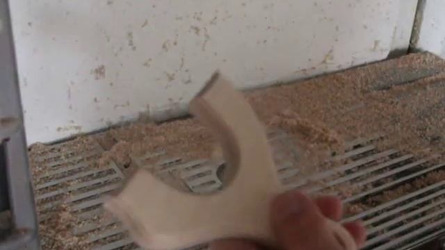 CUTTING OUT ON THE ROUTER AGAIN CATAPULT / SLINGSHOT смотреть онлайн