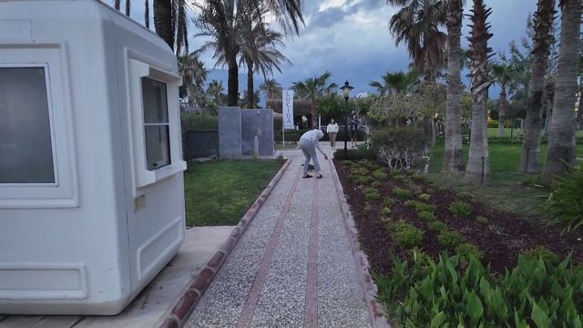 Турецкие кошки и мы) смотреть онлайн