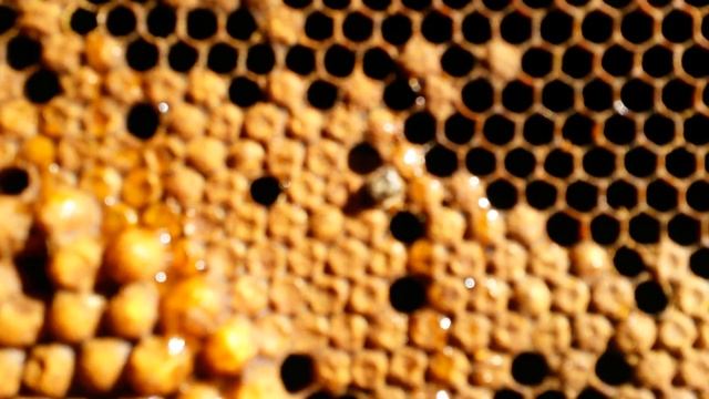 20160528 171749 смотреть онлайн