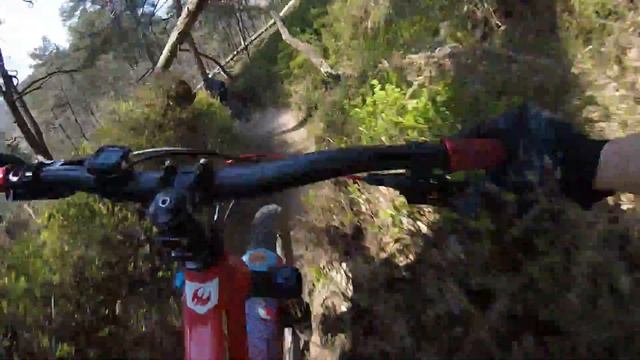 The Most Beautiful Trail I Have Ever Ridden | MTB | Slovenia | POV смотреть онлайн