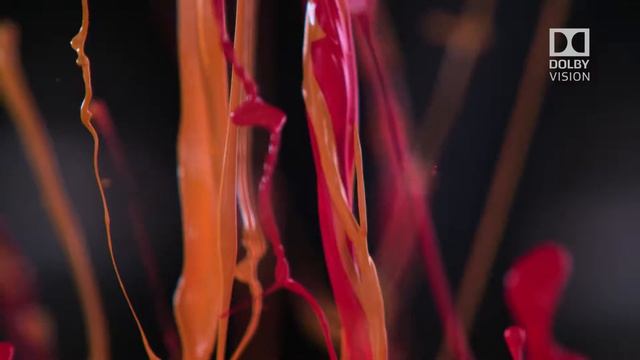 LG Dolby Atmos Vision 4K Video Ultra Hd Demo  For Oled Tv