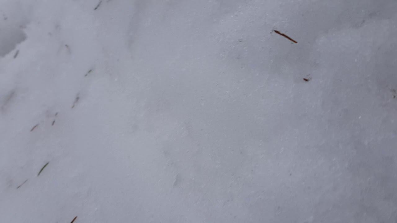 1 апреля 2019 г. смотреть онлайн