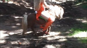 Pony Riding | Donkey Riding | Esel Reiten ✅✅✅