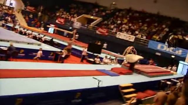 Stefania Stanila 2013 Romanian Nationals VT1 vault Team/AA/Quals смотреть онлайн